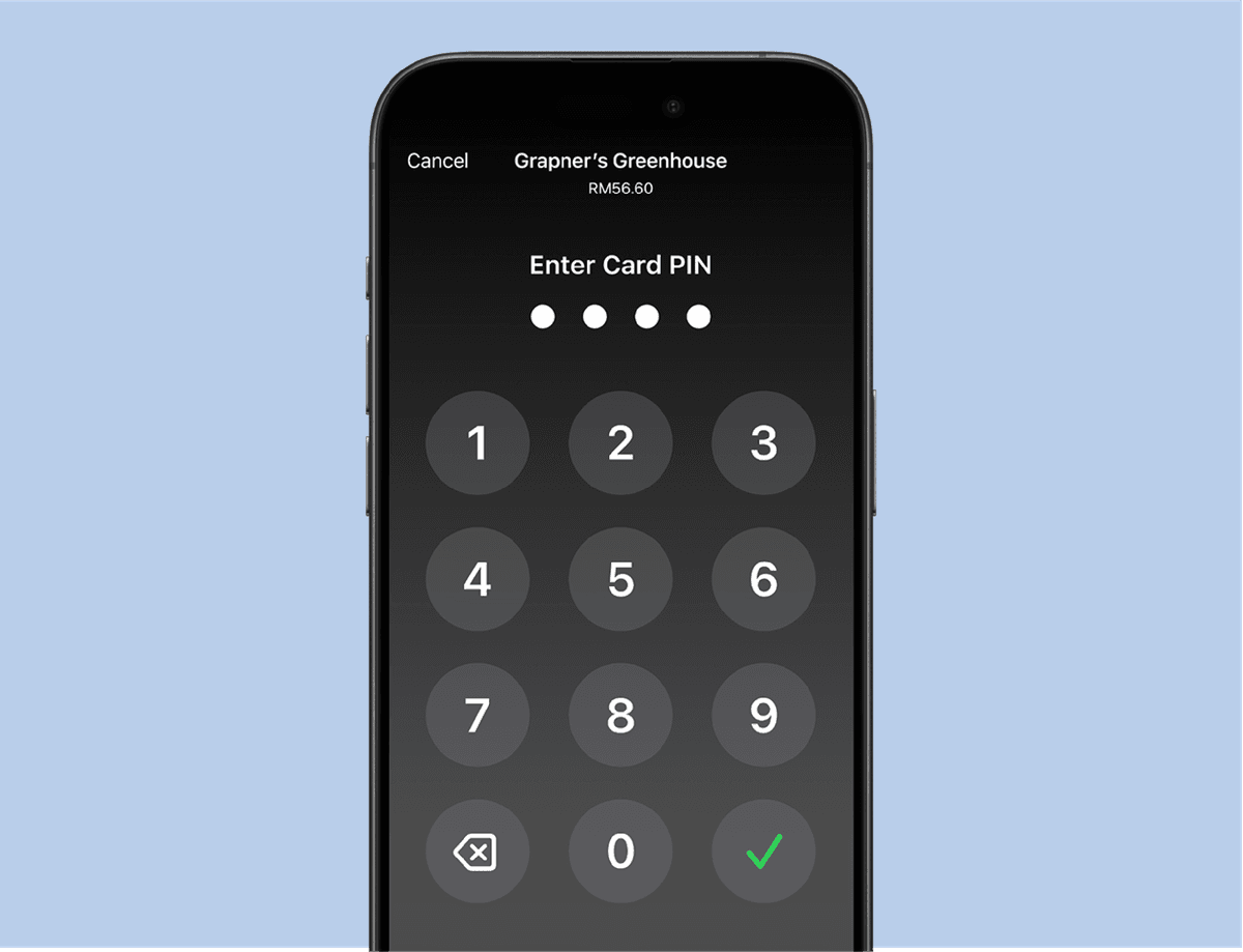 PIN Transaction Protection